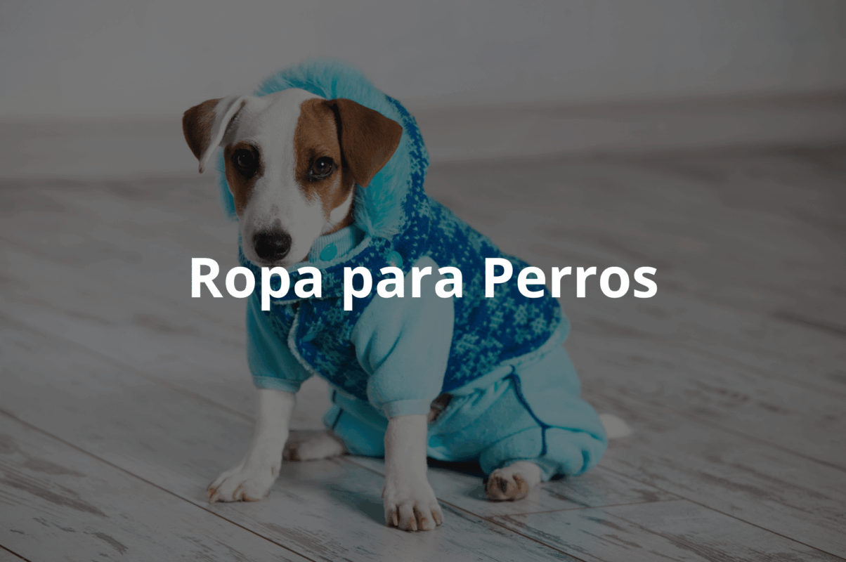 Etiquetas, Packaging y Accesorios para Ropa para Perros